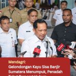 Mendagri : Gelondongan Kayu Sisa Banjir Sumatera Menumpuk, Penadah Takut Terseret Hukum
