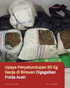 Upaya Penyelundupan 50 Kg Ganja di Bireuen Digagalkan Polda Aceh