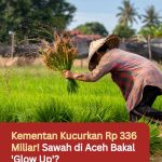 Kementan Kucurkan Rp 336 Miliar! Sawah di Aceh Bakal ‘Glow Up’?