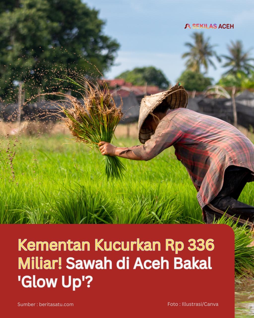 Kementan Kucurkan Rp 336 Miliar! Sawah di Aceh Bakal ‘Glow Up’?