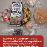 Hasil Uji Lab Keluar! BPOM Temukan Kontaminasi Bakteri S. aureus pada Menu MBG di Simpang Mamplam Bireuen : Telur Retak dan Ayam Kurang Matang