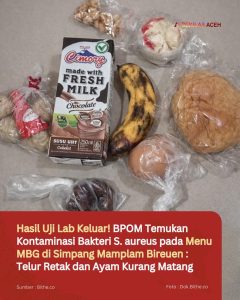 Hasil Uji Lab Keluar! BPOM Temukan Kontaminasi Bakteri S. aureus pada Menu MBG di Simpang Mamplam Bireuen : Telur Retak dan Ayam Kurang Matang