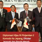 Diplomasi Hijau RI Pinjamkan 2 Komodo Ke Jepang, Ditukar Jerapah dan Panda Merah