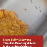Siswa SMPN 3 Sawang Temukan Belatung di Menu Makanan Bergizi Gratis