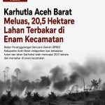 Karhutla Aceh Barat Meluas, 20,5 Hektare Lahan Terbakar di Enam Kecamatan