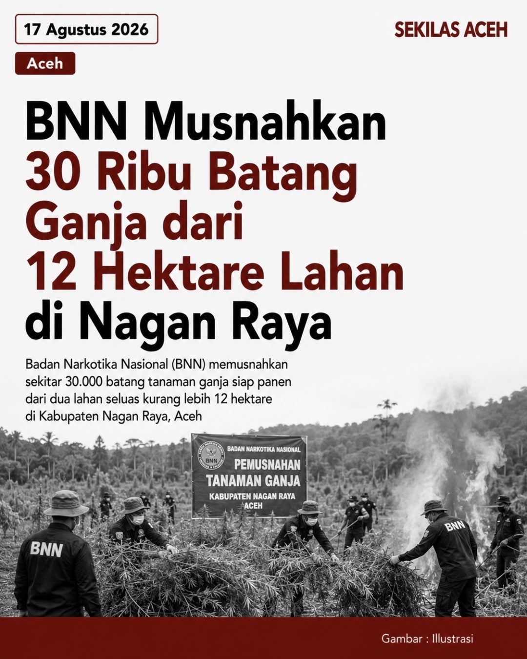 BNN Musnahkan 30 Ribu Batang Ganja dari 12 Hektare Lahan di Nagan Raya